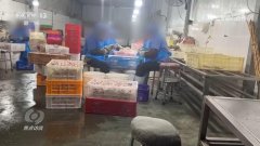 <b>动辄销量上万件的网红</b>